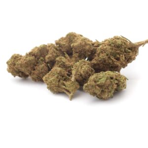 Super Lemon Haze Indoor