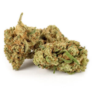 Amnesia Haze Premium