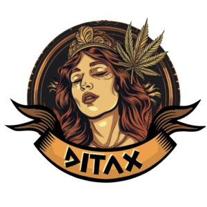 Orange Cookies Premium