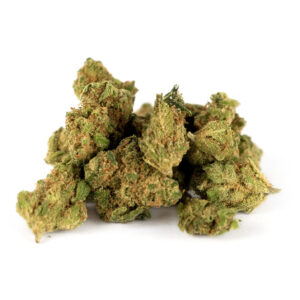 Pinneapple Chunk Indoor