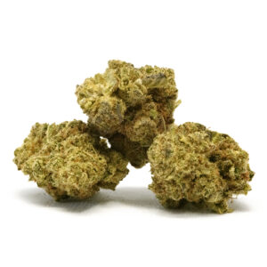 White Purple Premium